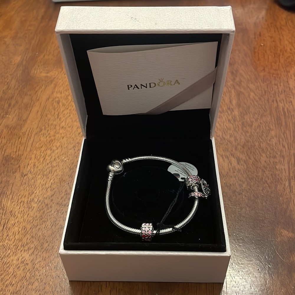 Brand New, never worn sterling silver Pandora bracelet with a charm.